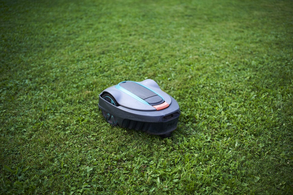 Vorsicht! An diesen Tagen darf Ihr Rasenmäher nicht zum Einsatz kommen