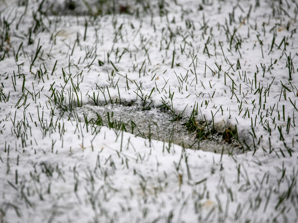 Macht fast jeder: Dieser häufige Winter-Fehler zerstört Ihren Rasen