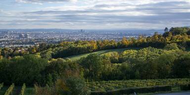 Heurigen in Wien mit Aussicht: Diese Lokale bieten den besten Blick
