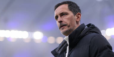 dino toppm&ouml;ller