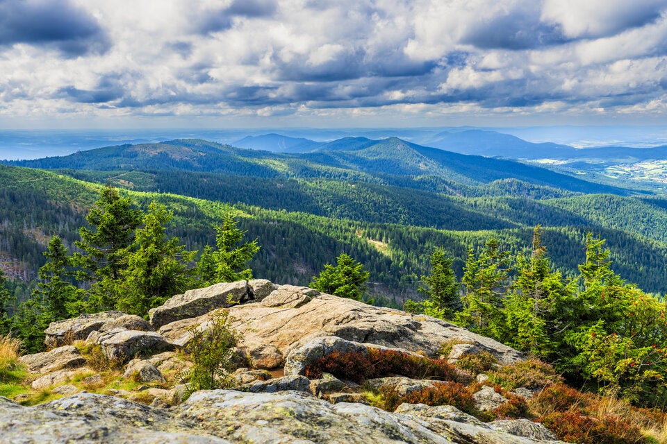 Bayerischer Wald