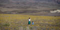 death valley