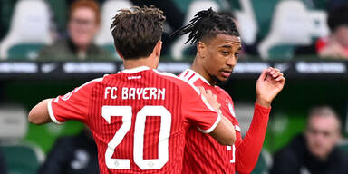 Olise Bayern