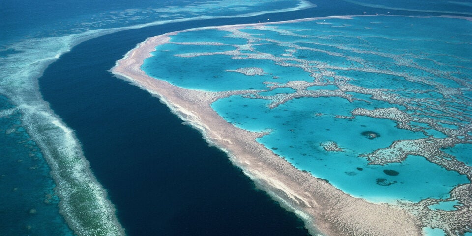 GreatBarrierReef