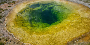 Yellowstone