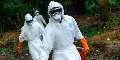 Ebola-Ausbruch immer schlimmer: Gro&szlig;e Sorge, Reisewarnung