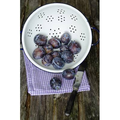 Gesundes im September