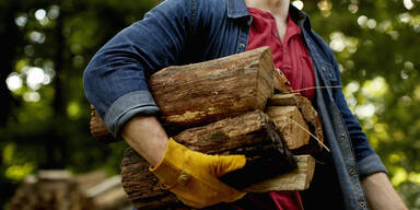 Brennholz-Betrug: Polizei warnt vor Fake-Shops