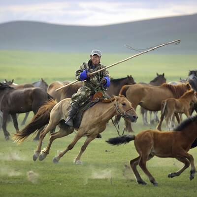 Die Top-Reiseziele 2017