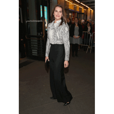 Brooke Shields - Das ist ihr Style! 