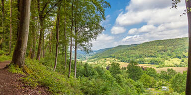 Flugzeug-Absturz in Deutschland: Mindestens 2 Tote