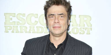 Benicio del Toro
