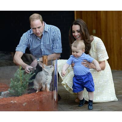 Herzogin Kate & Prinz William: Die schönsten Bilder aus 5 Jahren Ehe