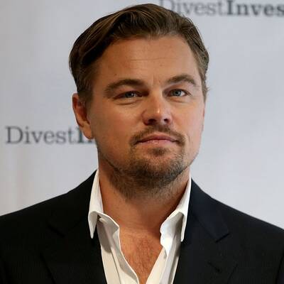 Wie sieht Leo DiCaprio besser aus?