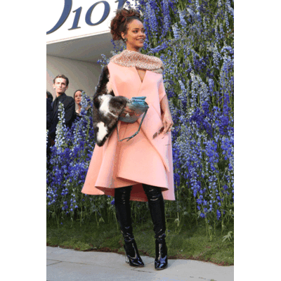 Rihanna bei Dior
