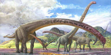 Mamenchisaurus sinocanadorum