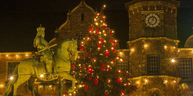 Grüne wehren sich gegen Christbaum: "Unzeitgemäßes Ritual"