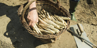 Billiger Import-Spargel setzt Landwirte unter Druck