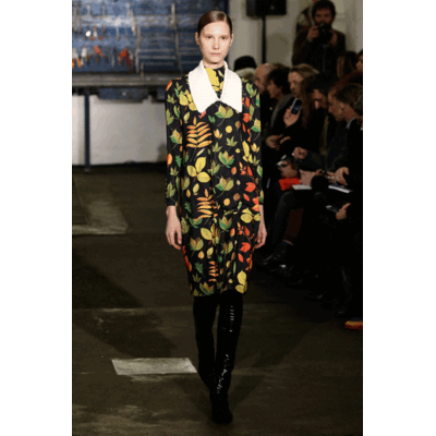 Arthur Arbesser Fall/Winter 2016