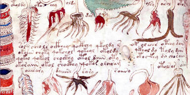 Die ganze Welt r&auml;tselt &uuml;ber dieses Buch