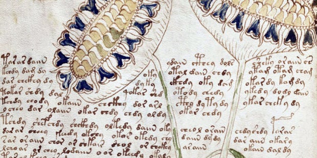 Die ganze Welt rätselt über dieses Buch