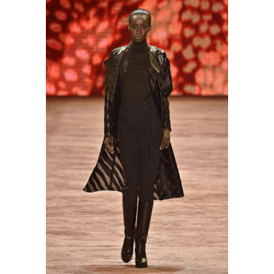 Akris Fall/Winter 2016/2017