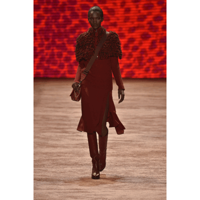 Akris Fall/Winter 2016/2017