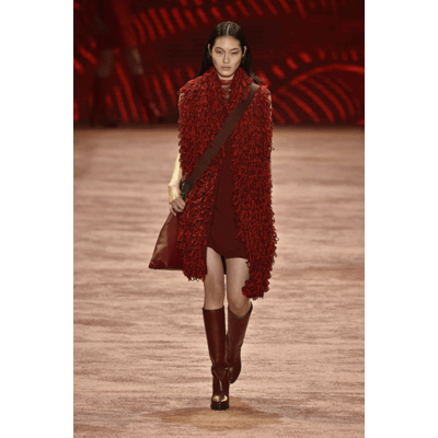 Akris Fall/Winter 2016/2017