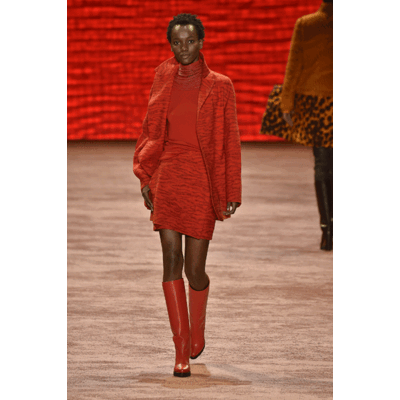 Akris Fall/Winter 2016/2017