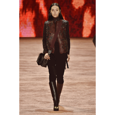 Akris Fall/Winter 2016/2017