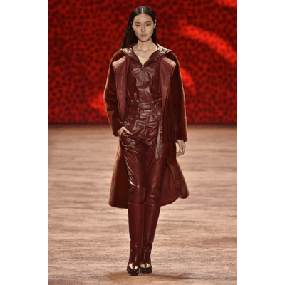 Akris Fall/Winter 2016/2017