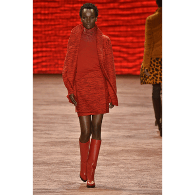 Akris Fall/Winter 2016/2017