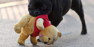 Winnie the Pooh Pu-B&auml;r