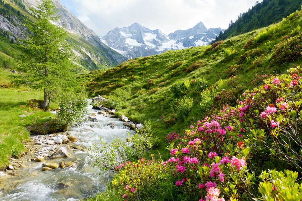 So schön ist der Frühling in der Südsteiermark