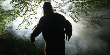 Bigfoot