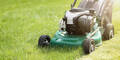 Morgens oder abends? Das ist die beste Uhrzeit zum Rasenmähen