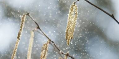 Shopping Channel Allergie Saison Aufmacher