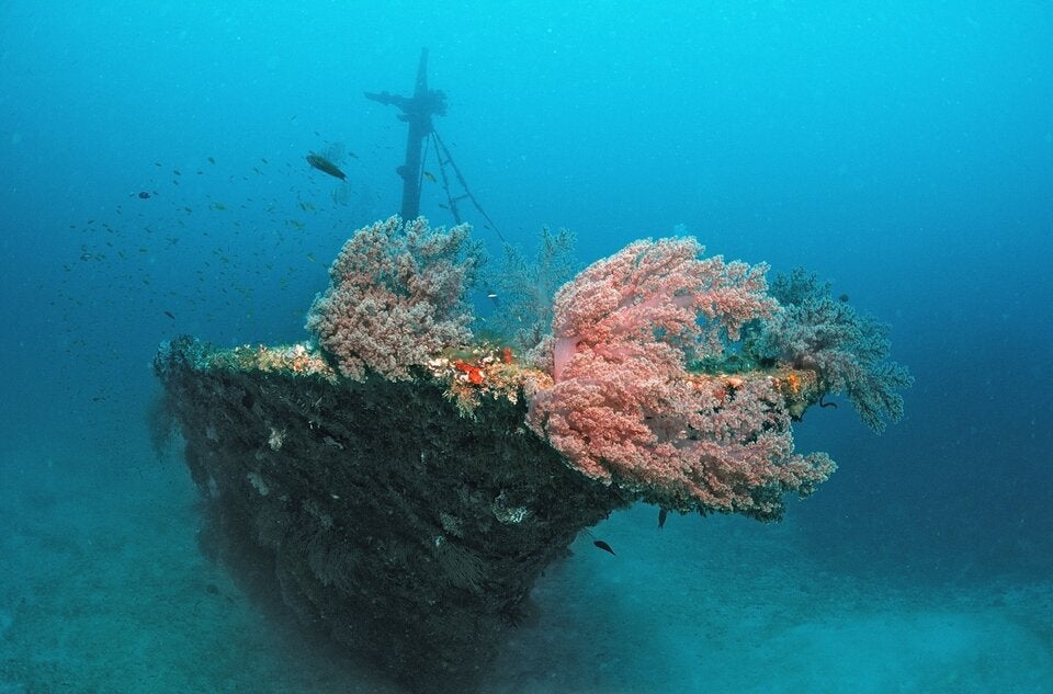 FÜR ABENTEURER. Wracktauchen auf den Malediven.