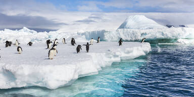 Laut Forbes: DIESE Orte werden 2026 zum absoluten Hit!