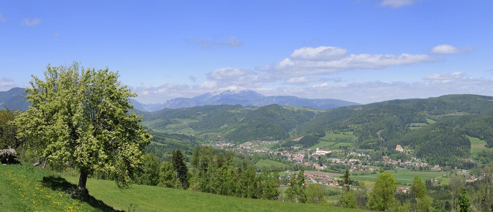 Frühlingswanderungen in Österreich: 7 Touren für das lange Osterwochenende