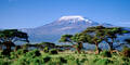 Kilimanjaro