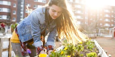 Ihr Hochbeet wächst nicht oder nur sehr langsam? Dieser Fehler steckt dahinter