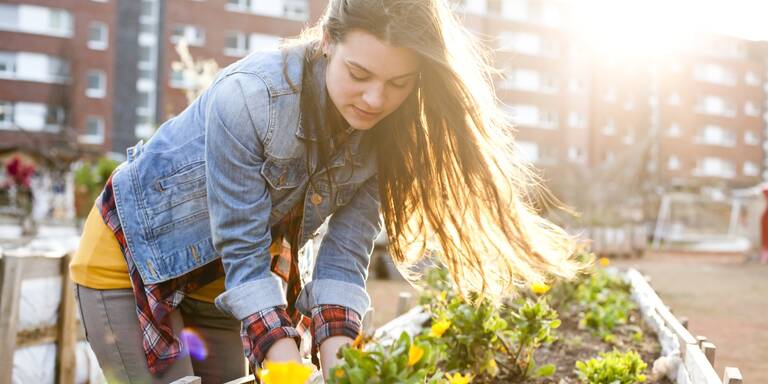 Ihr Hochbeet wächst nicht oder nur sehr langsam? Dieser Fehler steckt dahinter