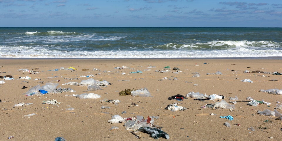 Aufgrund von Verunreinigungen stehen Badeverbote an der Tagesordnung.