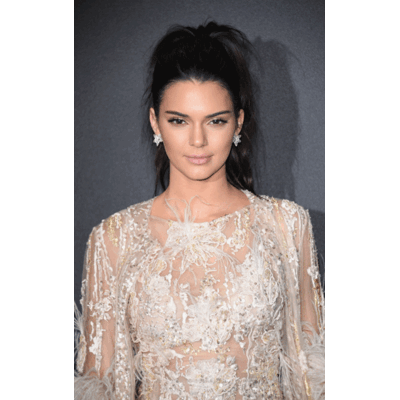 Kendall Jenner - Als gerupftes Huhn in Cannes