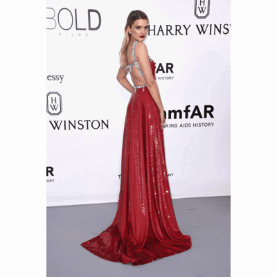 Die Looks der amfAR Gala in Cannes