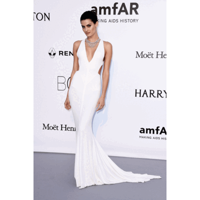 Die Looks der amfAR Gala in Cannes