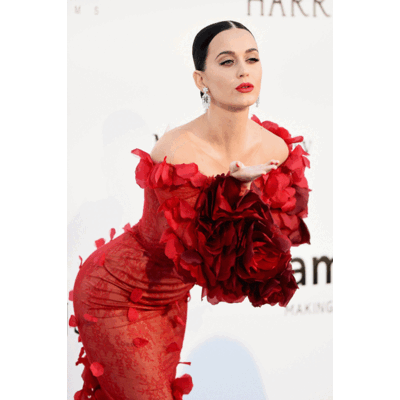 Die Looks der amfAR Gala in Cannes