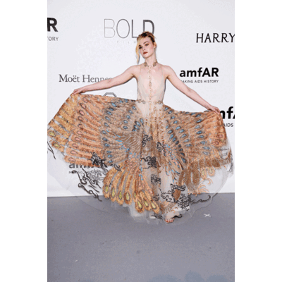 Die Looks der amfAR Gala in Cannes