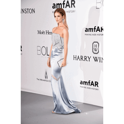 Die Looks der amfAR Gala in Cannes